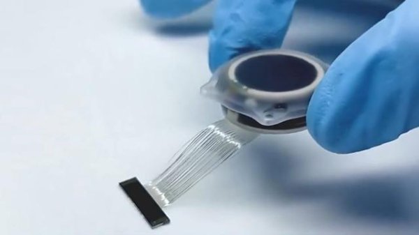 股腰包 提供统一权威“通用语言”，我国首部脑机接口医疗器械标准发布