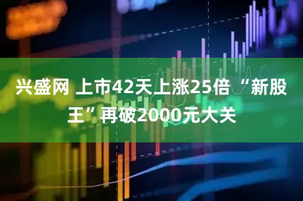 兴盛网 上市42天上涨25倍 “新股王”再破2000元大关